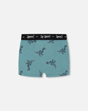 Load image into Gallery viewer, deux par deux Boys Printed Boxers

