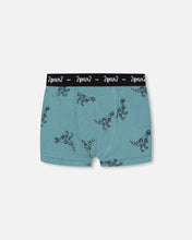 Load image into Gallery viewer, deux par deux Boys Printed Boxers
