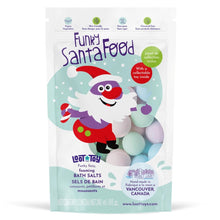 Load image into Gallery viewer, Loot Toy Co. Funky Santa Food

