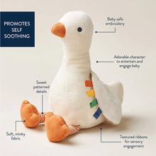Load image into Gallery viewer, Itzy Ritzy Sweetie Snuggles™ Plush
