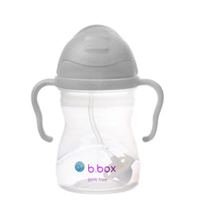 Load image into Gallery viewer, b.box Straw Sippy Cup
