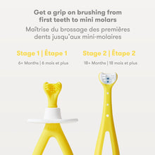Load image into Gallery viewer, Fridababy Grow-With-Me Training Toothbrush Set
