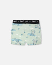 Load image into Gallery viewer, deux par deux Boys Printed Boxers
