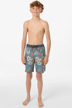 Load image into Gallery viewer, O'Neill Youth Boys Hermosa 16" EW Lined Trunk - Mulled Basil
