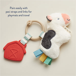 Itzy Ritzy Itzy Pal Plush + Teether Infant Toy