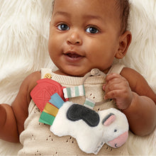 Load image into Gallery viewer, Itzy Ritzy Itzy Pal Plush + Teether Infant Toy
