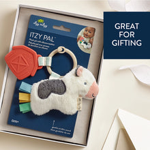 Load image into Gallery viewer, Itzy Ritzy Itzy Pal Plush + Teether Infant Toy
