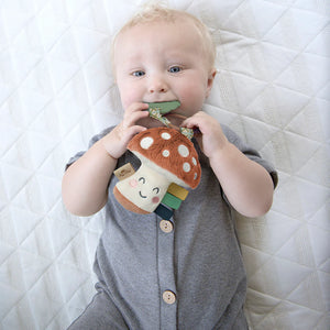 Itzy Ritzy Itzy Pal Plush + Teether Infant Toy