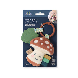 Itzy Ritzy Itzy Pal Plush + Teether Infant Toy