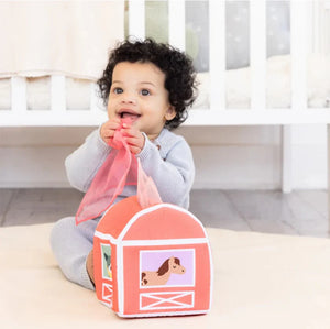 Pearhead Learning Kit 6-12 months