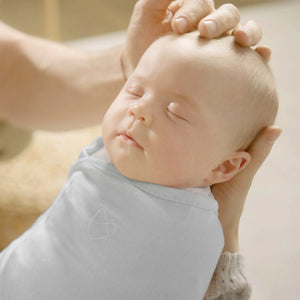 SwaddleMe by Ingenuity 3PK Monogram Collection
