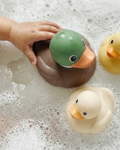 Load image into Gallery viewer, Itzy Ritzy Itzy Ducky Family
