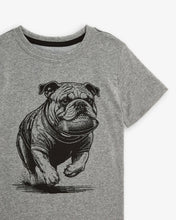 Load image into Gallery viewer, Appaman Boys Mascot Graphic Short Sleeve Tee - Grey

