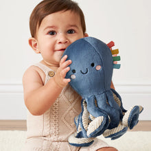Load image into Gallery viewer, Itzy Ritzy Sweetie Snuggles™ Plush
