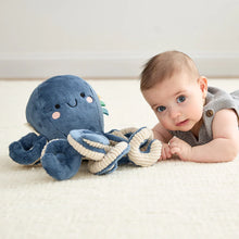 Load image into Gallery viewer, Itzy Ritzy Sweetie Snuggles™ Plush
