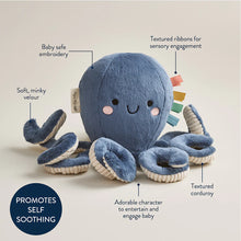 Load image into Gallery viewer, Itzy Ritzy Sweetie Snuggles™ Plush

