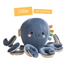 Load image into Gallery viewer, Itzy Ritzy Sweetie Snuggles™ Plush
