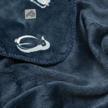 Load image into Gallery viewer, Perlimpinpin Plush Blanket
