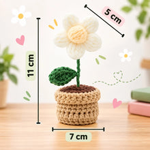 Load image into Gallery viewer, DIY Crochet Potted Daisy
