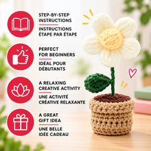 Load image into Gallery viewer, DIY Crochet Potted Daisy

