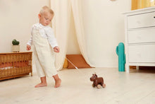 Load image into Gallery viewer, Little Big Friends Pull Along Friends
