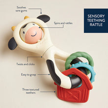 Load image into Gallery viewer, Itzy Ritzy Spinner™ Rattle
