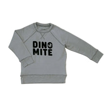 Load image into Gallery viewer, Silkberry Boys Bamboo Fleece Sweatshirt - Windy
