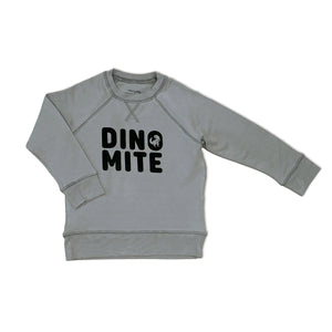 Silkberry Boys Bamboo Fleece Sweatshirt - Windy