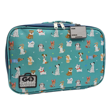 Load image into Gallery viewer, Go Green Lunchbox Set
