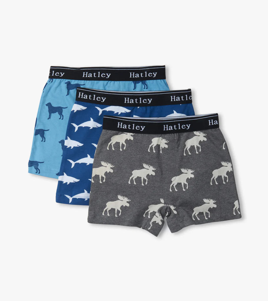 Hatley Boys Boxer Brief 3 Pack