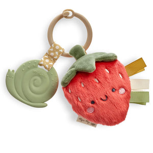 Itzy Ritzy Itzy Pal Plush + Teether Infant Toy