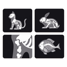 Load image into Gallery viewer, Janod Veterinary Suitcase
