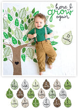 Load image into Gallery viewer, Lulujo Baby&#39;s First Year Blanket &amp; Cards Set
