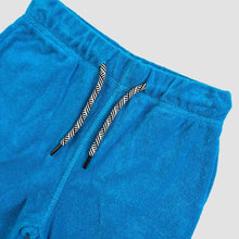 Load image into Gallery viewer, Appaman Boys Camp Shorts
