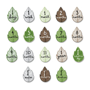 Lulujo Baby's First Year Blanket & Cards Set