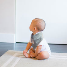 Load image into Gallery viewer, Kushies Bandana Bib - 2PK
