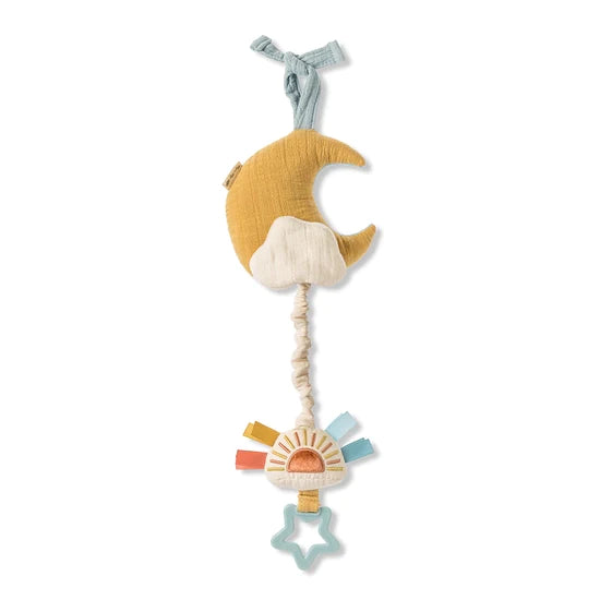 Itzy Sticky Notes Itzy Ritzy Bitzy Notes Musical Pull Down Toy - Cloud/Sun – Chicken ...
