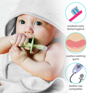 Zoli Chubby Gummy Teethers