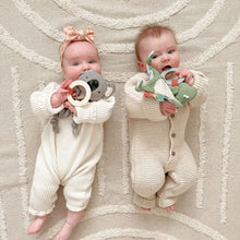 Load image into Gallery viewer, Itzy Ritzy Bitzy Crinkle - Sensory Toy with Teether
