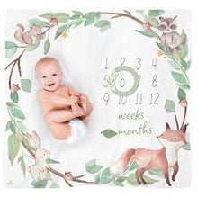 Load image into Gallery viewer, Itzy Ritzy Cutie Captures Milestone Blanket

