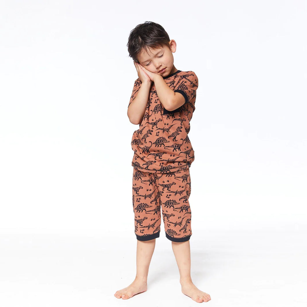 deux par deux Boys Organic Cotton 2PC Short Pajama Set - Chocolate Dinosaur Print