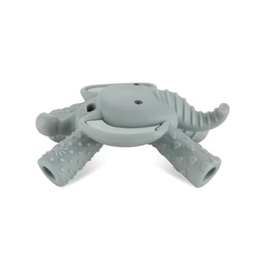 Itzy Ritzy Baby Molar Teether