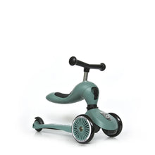 Load image into Gallery viewer, Scoot And Ride Highwaykick 1
