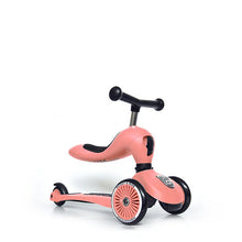 Load image into Gallery viewer, Scoot And Ride Highwaykick 1
