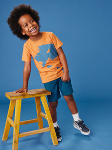 Tea Collection Boys Leao Graphic Tee - Pumpkin