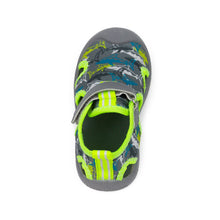 Load image into Gallery viewer, Robeez Water Shoes - Remi Sharks
