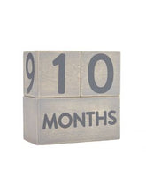 Load image into Gallery viewer, Pearhead Wooden Age Block Set
