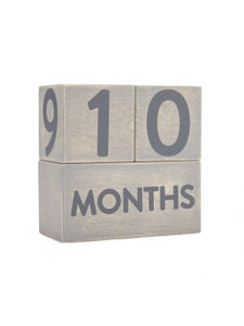 Pearhead Wooden Age Block Set