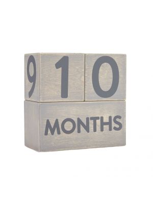 Pearhead Wooden Age Block Set