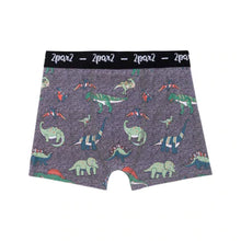 Load image into Gallery viewer, deux par deux Boys Printed Boxers
